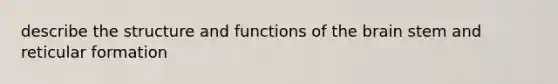 describe the structure and functions of the brain stem and reticular formation