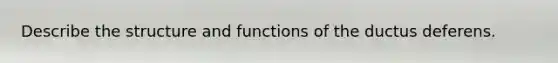 Describe the structure and functions of the ductus deferens.