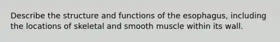 Describe the structure and functions of <a href='https://www.questionai.com/knowledge/kSjVhaa9qF-the-esophagus' class='anchor-knowledge'>the esophagus</a>, including the locations of skeletal and smooth muscle within its wall.