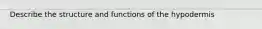 Describe the structure and functions of the hypodermis