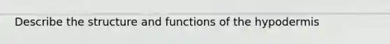 Describe the structure and functions of the hypodermis