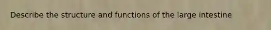 Describe the structure and functions of the large intestine