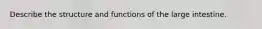 Describe the structure and functions of the large intestine.