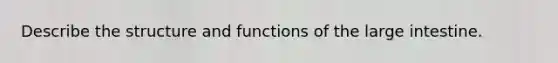 Describe the structure and functions of the large intestine.