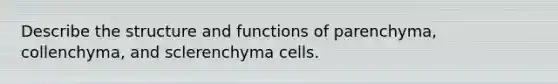 Describe the structure and functions of parenchyma, collenchyma, and sclerenchyma cells.