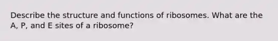 Describe the structure and functions of ribosomes. What are the A, P, and E sites of a ribosome?