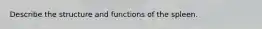 Describe the structure and functions of the spleen.