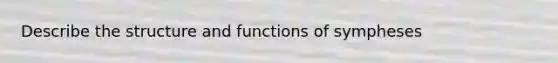 Describe the structure and functions of sympheses