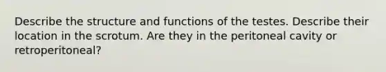 Describe the structure and functions of the testes. Describe their location in the scrotum. Are they in the peritoneal cavity or retroperitoneal?