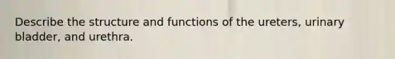 Describe the structure and functions of the ureters, urinary bladder, and urethra.