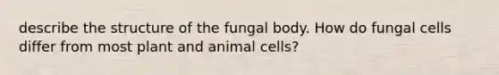 describe the structure of the fungal body. How do fungal cells differ from most plant and animal cells?