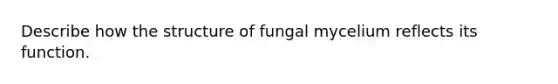 Describe how the structure of fungal mycelium reflects its function.