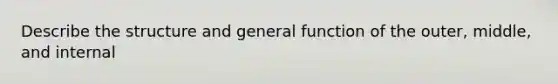 Describe the structure and general function of the outer, middle, and internal