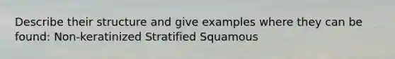 Describe their structure and give examples where they can be found: Non-keratinized Stratified Squamous