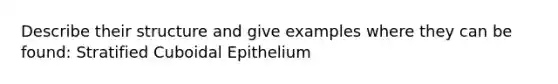 Describe their structure and give examples where they can be found: Stratified Cuboidal Epithelium