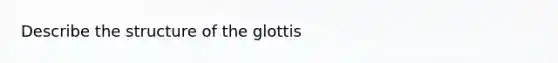 Describe the structure of the glottis