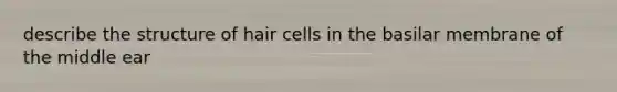 describe the structure of hair cells in the basilar membrane of the middle ear