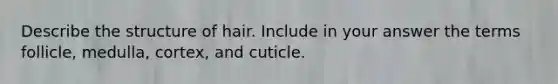 Describe the structure of hair. Include in your answer the terms follicle, medulla, cortex, and cuticle.