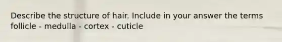 Describe the structure of hair. Include in your answer the terms follicle - medulla - cortex - cuticle