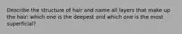 Describe the structure of hair and name all layers that make up the hair: which one is the deepest and which one is the most superficial?