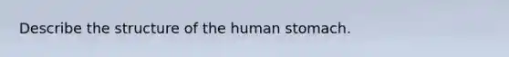 Describe the structure of the human stomach.