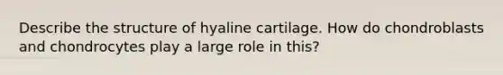 Describe the structure of hyaline cartilage. How do chondroblasts and chondrocytes play a large role in this?