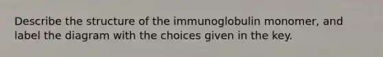 Describe the structure of the immunoglobulin monomer, and label the diagram with the choices given in the key.