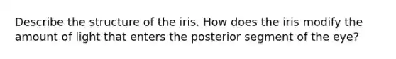 Describe the structure of the iris. How does the iris modify the amount of light that enters the posterior segment of the eye?