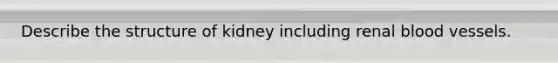 Describe the structure of kidney including renal blood vessels.