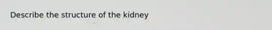 Describe the structure of the kidney