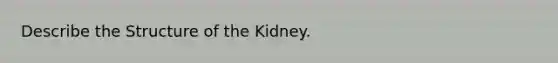 Describe the Structure of the Kidney.