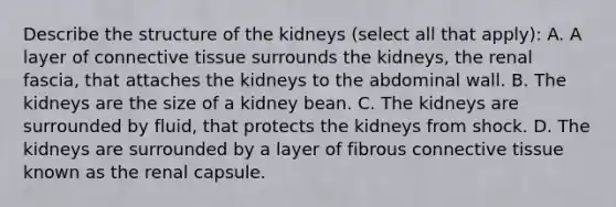 Describe the structure of the kidneys (select all that apply): A. A layer of connective tissue surrounds the kidneys, the renal fascia, that attaches the kidneys to the abdominal wall. B. The kidneys are the size of a kidney bean. C. The kidneys are surrounded by fluid, that protects the kidneys from shock. D. The kidneys are surrounded by a layer of fibrous connective tissue known as the renal capsule.