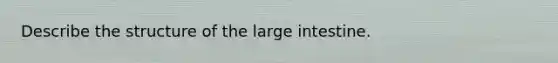 Describe the structure of the large intestine.
