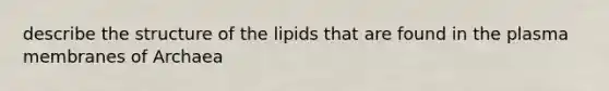 describe the structure of the lipids that are found in the plasma membranes of Archaea