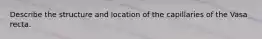 Describe the structure and location of the capillaries of the Vasa recta.
