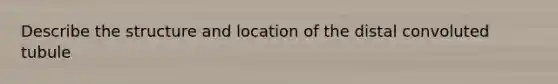 Describe the structure and location of the distal convoluted tubule