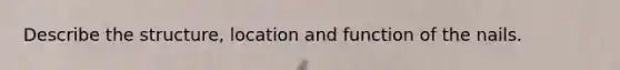 Describe the structure, location and function of the nails.