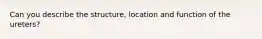 Can you describe the structure, location and function of the ureters?