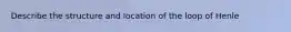 Describe the structure and location of the loop of Henle