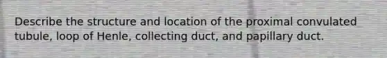 Describe the structure and location of the proximal convulated tubule, loop of Henle, collecting duct, and papillary duct.