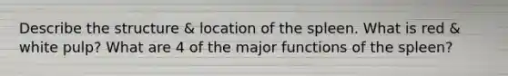 Describe the structure & location of the spleen. What is red & white pulp? What are 4 of the major functions of the spleen?