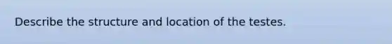 Describe the structure and location of the testes.