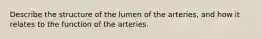 Describe the structure of the lumen of the arteries, and how it relates to the function of the arteries.