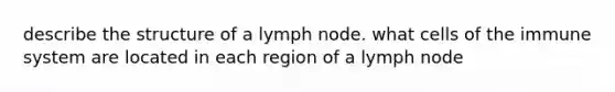 describe the structure of a lymph node. what cells of the immune system are located in each region of a lymph node