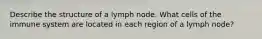 Describe the structure of a lymph node. What cells of the immune system are located in each region of a lymph node?