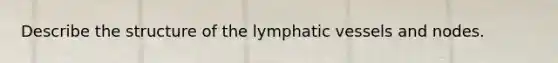 Describe the structure of the lymphatic vessels and nodes.