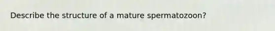 Describe the structure of a mature spermatozoon?