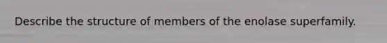 Describe the structure of members of the enolase superfamily.