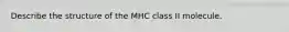 Describe the structure of the MHC class II molecule.