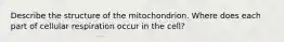 Describe the structure of the mitochondrion. Where does each part of cellular respiration occur in the cell?